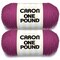 Caron One Pound Purple Yarn - 2 Pack of 454g/16oz - Acrylic - 4 Medium (Worsted) - 812 Yards - Knitting/Crochet